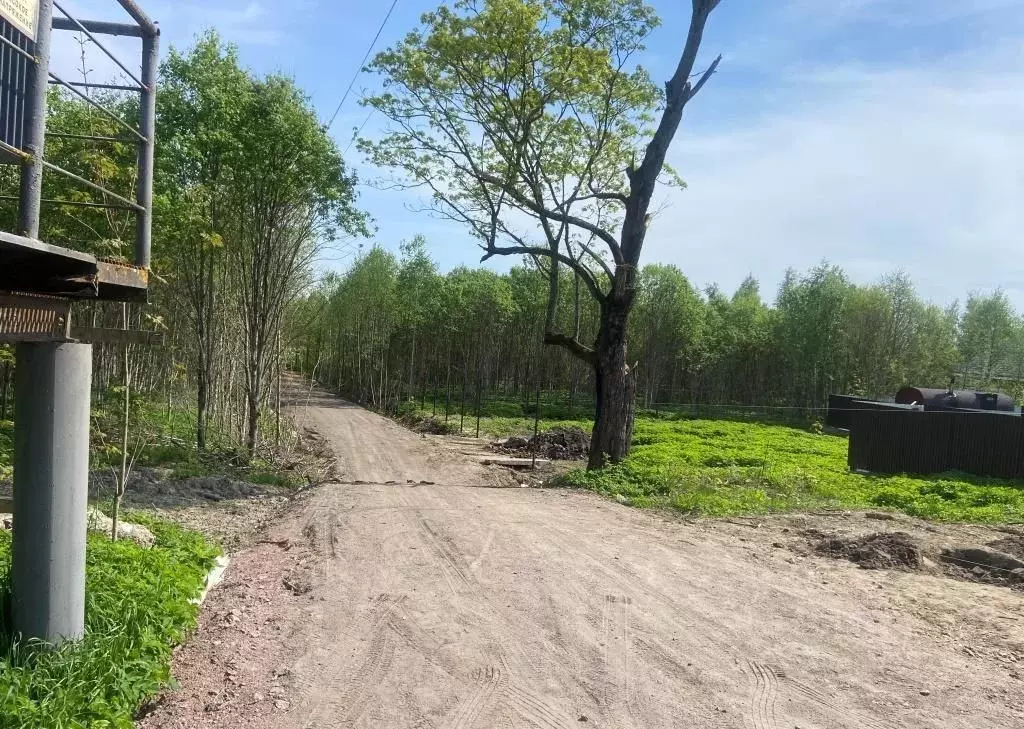 Участок в Ленинградская область, Шлиссельбург Кировский район, ул. ... - Фото 2
