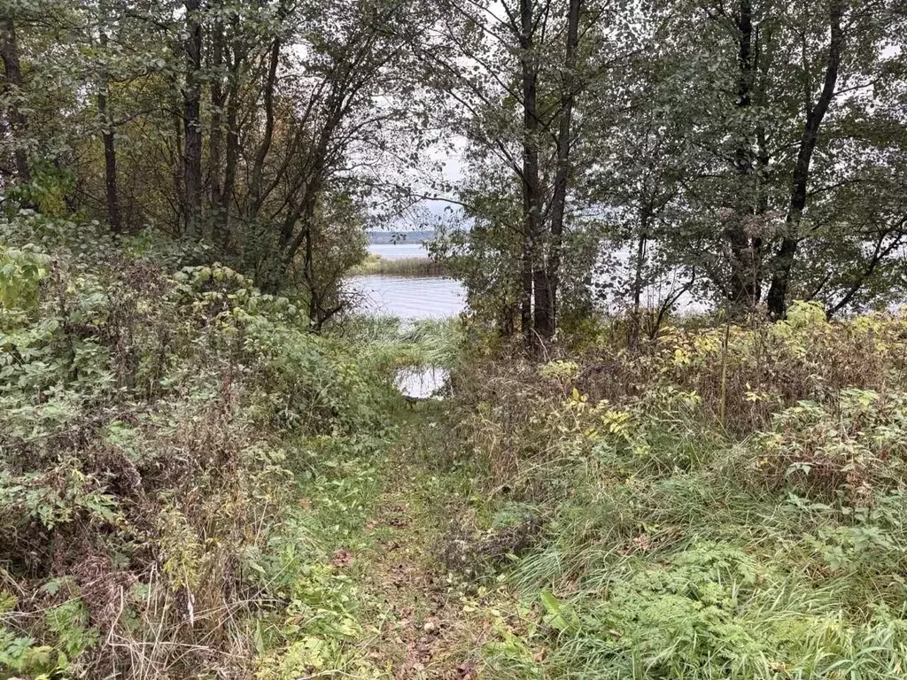 Участок в Тверская область, Кимрский муниципальный округ, д. Кадниково ... - Фото 2