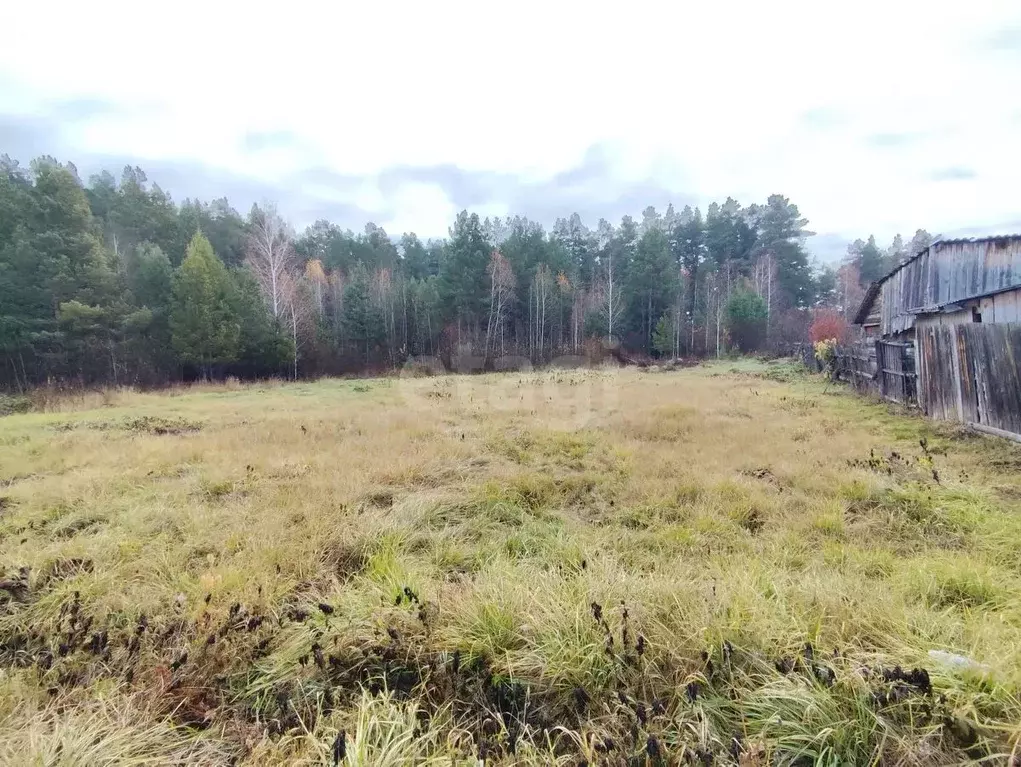 Участок в Курганская область, Кетовский муниципальный округ, с. ... - Фото 1