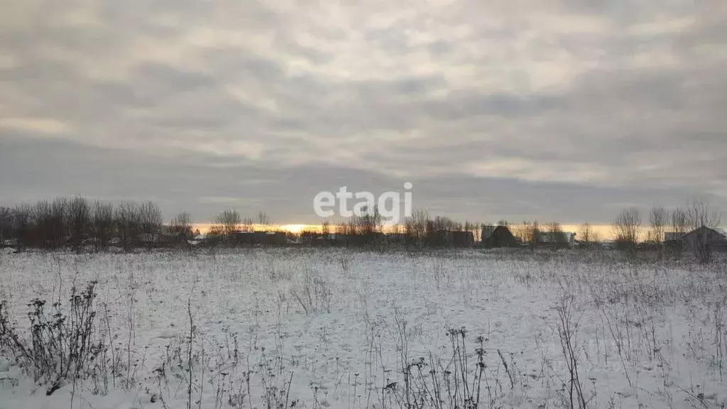 Участок в Ленинградская область, Ломоносовский район, Ропшинское ... - Фото 1