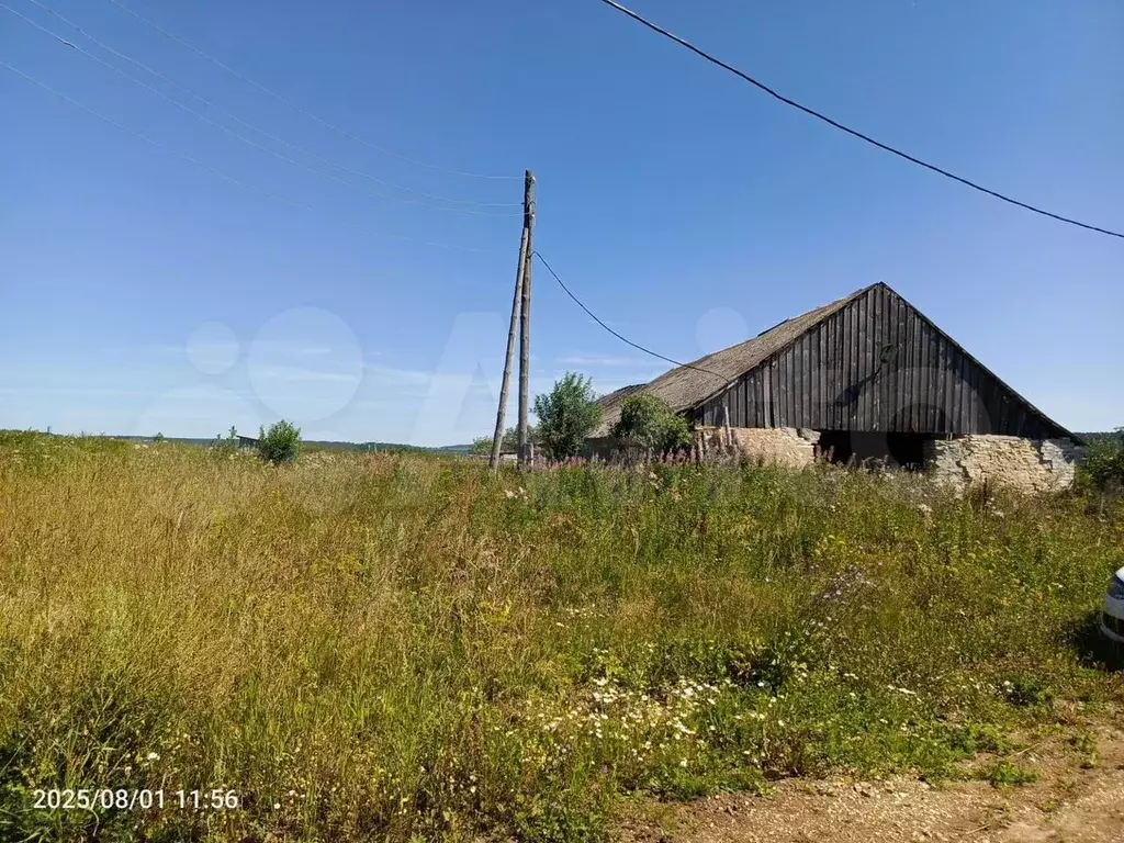 Участок 3,2 га (СНТ, ДНП) - Фото 0