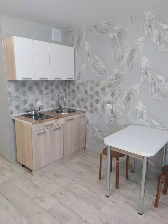 Студия Ивановская область, Кохма ул. Кочетовой, 61А (23.5 м) - Фото 2