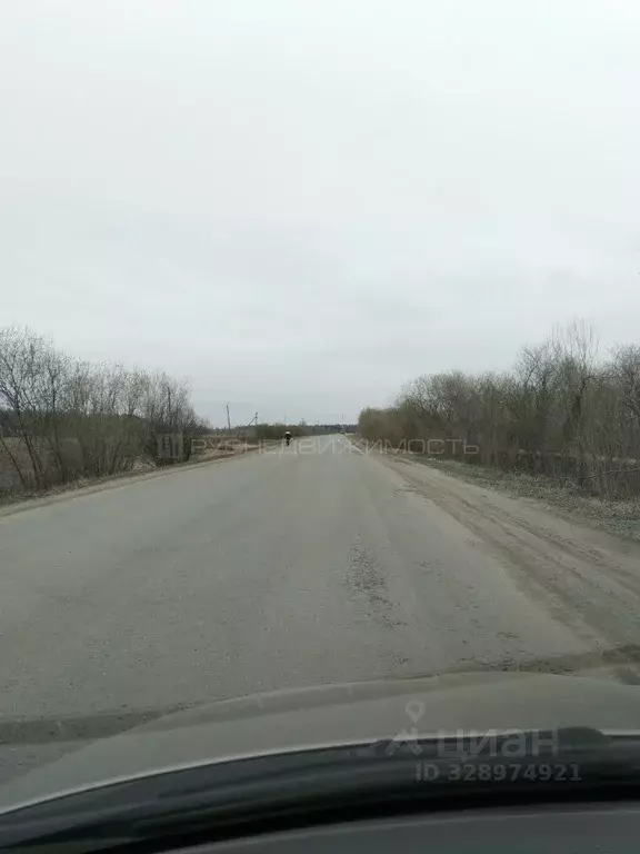 Участок в Кировская область, Киров городской округ, д. Лихачи  (8.0 ... - Фото 1