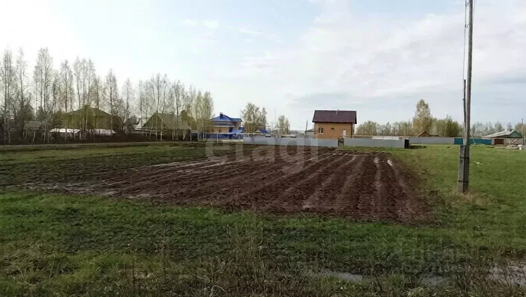 Участок в Марий Эл, Оршанский район, с. Великополье ул. Рябинина (22.5 ... - Фото 2