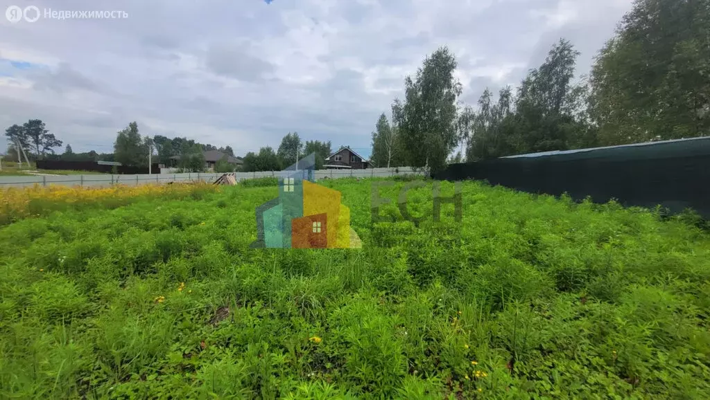 Участок в Тульская область, городской округ Тула, деревня Нижняя ... - Фото 1