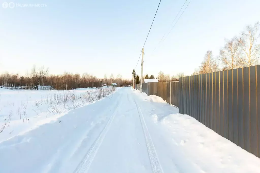 Участок в Тюменский муниципальный округ, СНТ Маяк, Сосновая улица ... - Фото 1