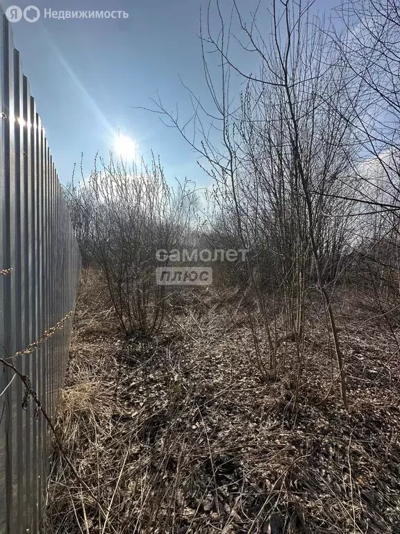 Участок в посёлок городского типа Молоково, Спортивная улица (4 м) - Фото 1