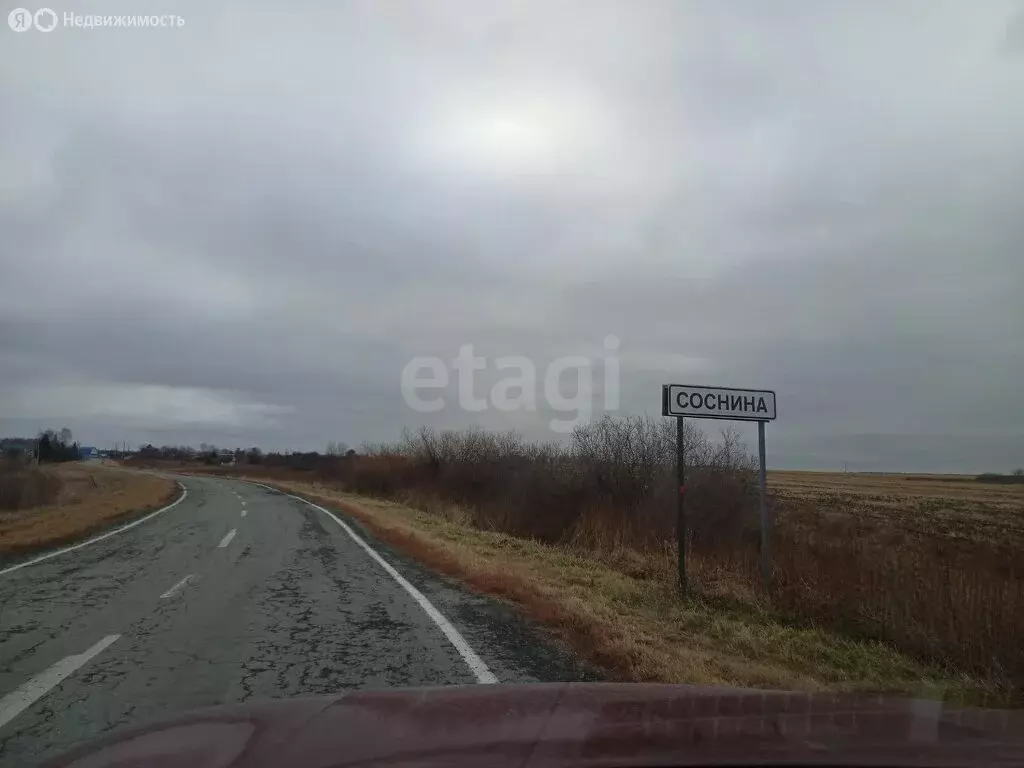 Участок в Ялуторовский район, деревня Соснина (1.3 м) - Фото 0