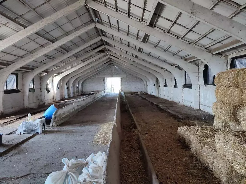 Производственное помещение в Адыгея, Красногвардейский район, ... - Фото 1