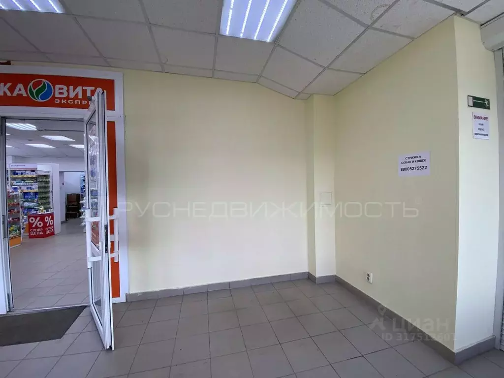 Торговая площадь в Кировская область, Киров ул. Ленина, 137 (5 м) - Фото 0