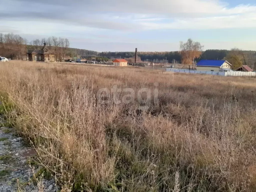 Участок в Татарстан, Менделеевский район, Монашевское с/пос, с. Новый ... - Фото 2