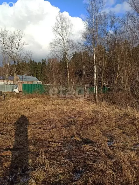 Участок в Московская область, муниципальный округ Чехов, деревня ... - Фото 2