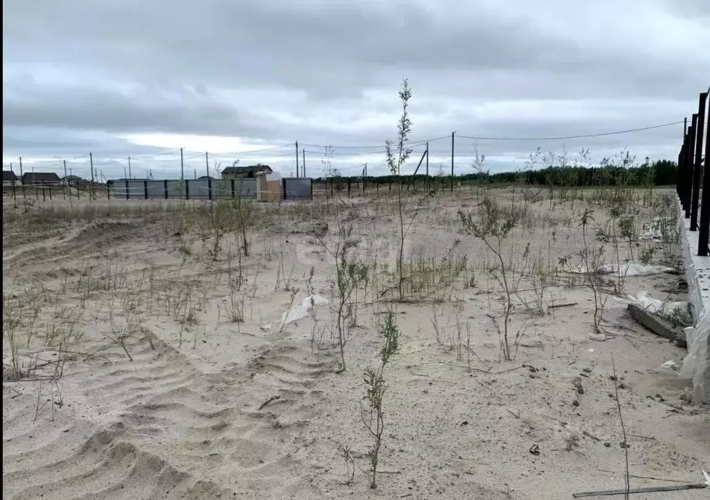 Участок в Ханты-Мансийский АО, Ханты-Мансийского муниципального района ... - Фото 1