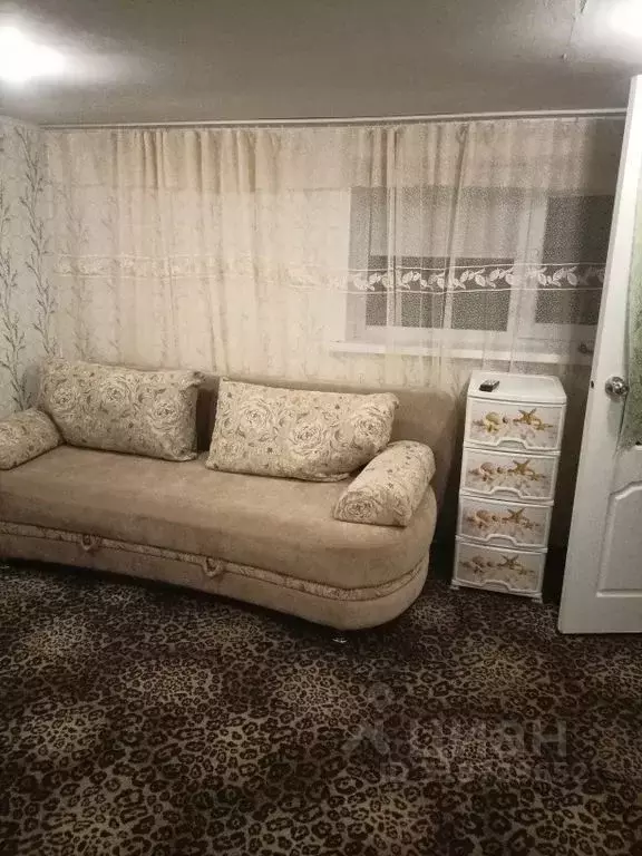 Дом в Алтайский край, Яровое Заводская ул., 54 (30 м) - Фото 0