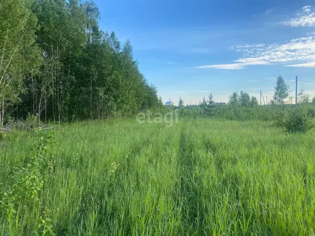 Участок в Тюменская область, Тюменский район, с. Горьковка  (20.0 ... - Фото 0