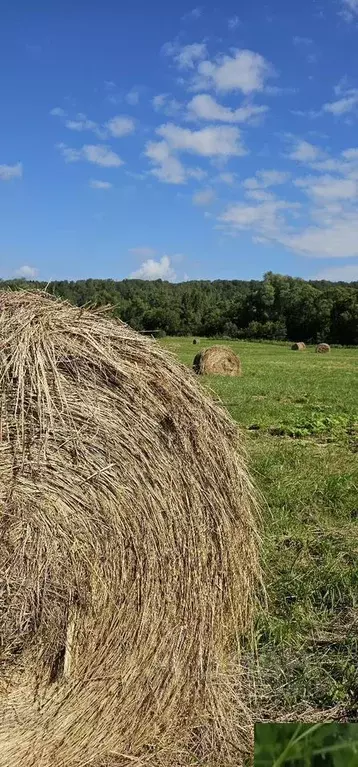 Участок в Московская область, Клин городской округ, д. Струбково  (9.0 ... - Фото 1