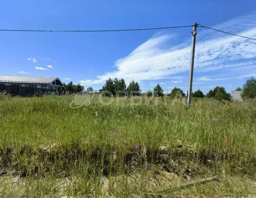 Участок в Тюменская область, Тюменский муниципальный округ, д. ... - Фото 2