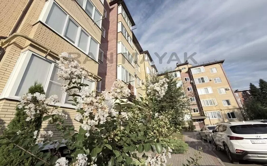 2-к кв. Адыгея, Майкоп ул. Димитрова, 23Б (59.7 м) - Фото 2