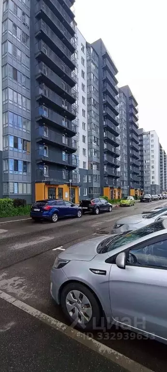 Студия Ленинградская область, Ломоносовский район, Виллозское ... - Фото 2
