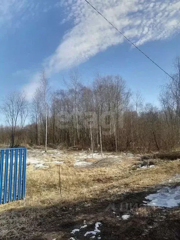 Участок в Вологодская область, Вологда Вологжанка садоводческое ... - Фото 1