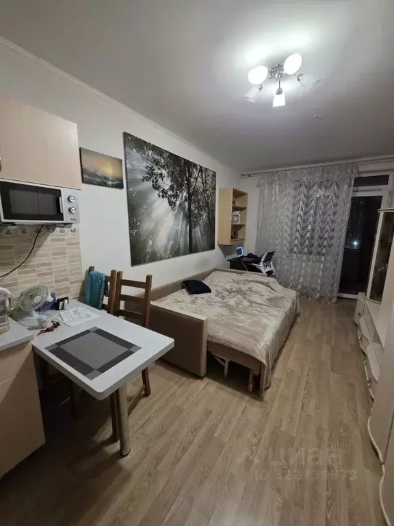 Студия Санкт-Петербург Мебельная ул., 35к2 (23.1 м) - Фото 2