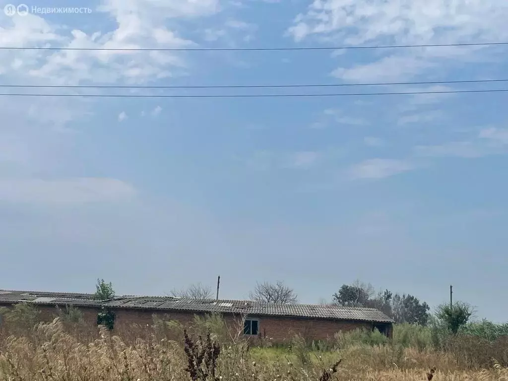 Участок в Славянский район, Анастасиевское сельское поселение, станица ... - Фото 0