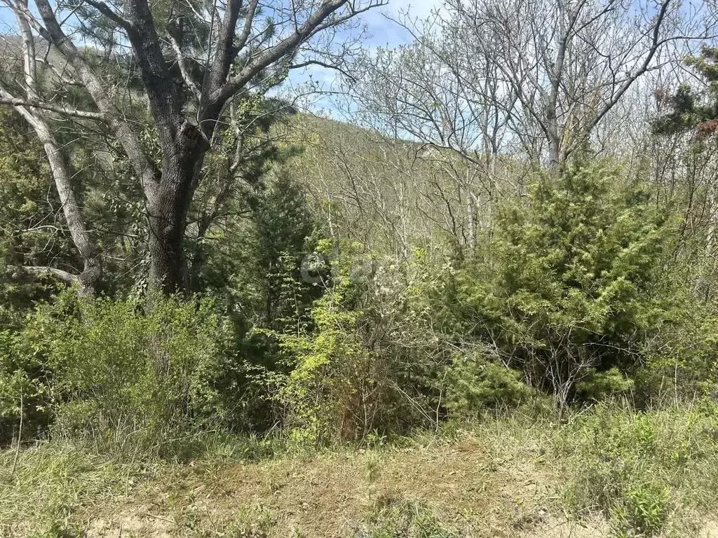 Участок в Краснодарский край, Новороссийск городской округ, с. Мысхако ... - Фото 1