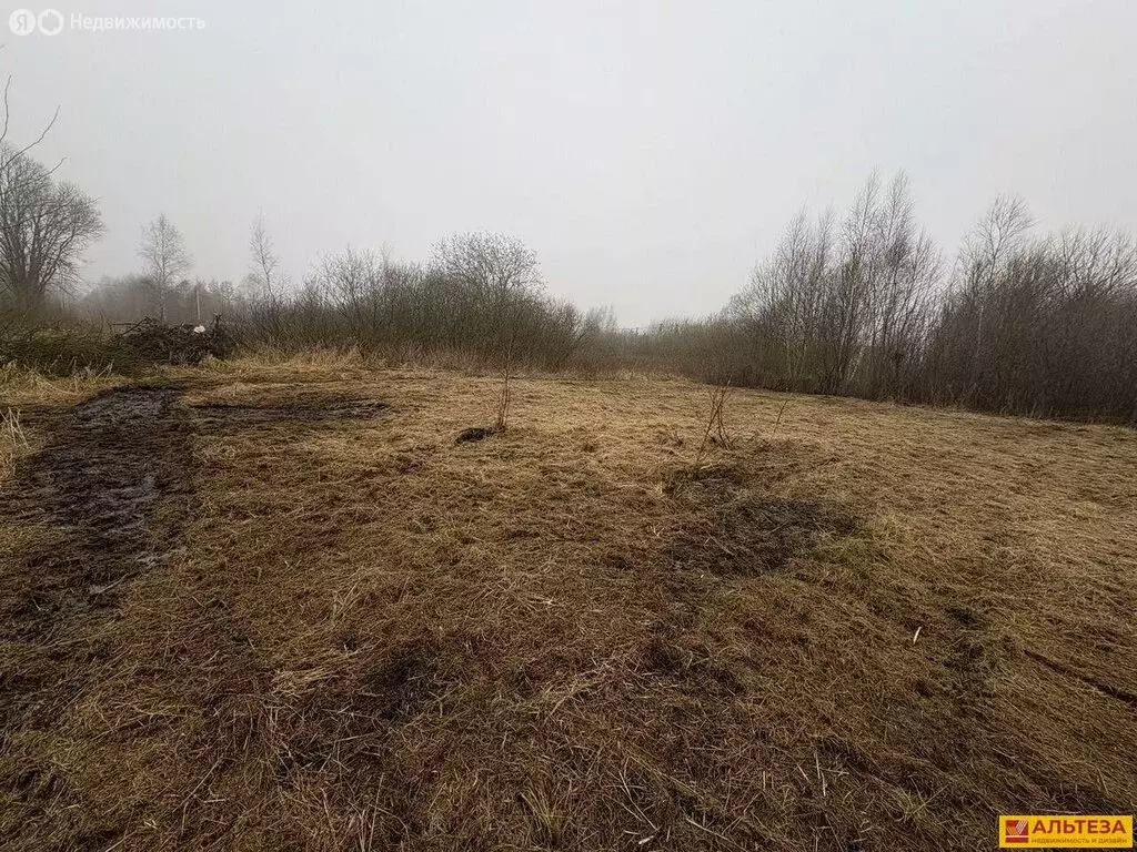 Участок в Калининградская область, Зеленоградский муниципальный округ, ... - Фото 1