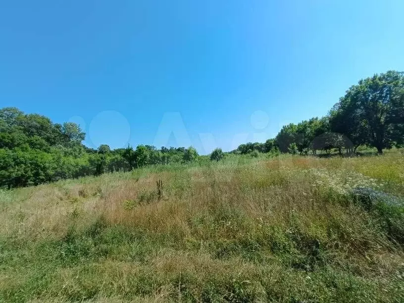 Участок 8,1 сот. (СНТ, ДНП) - Фото 0