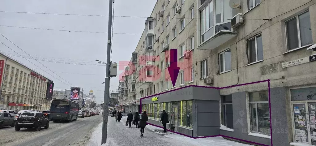 Торговая площадь в Свердловская область, Екатеринбург ул. Карла ... - Фото 1