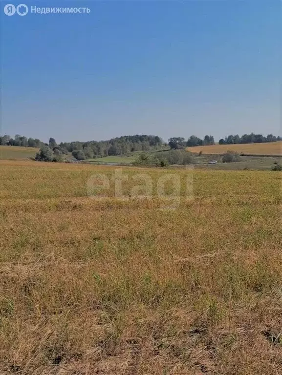 Участок в село Толмачево, Слободская улица (19.41 м) - Фото 1