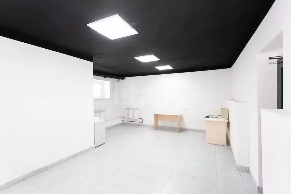 Помещение свободного назначения в Новосибирская область, Новосибирск ... - Фото 1