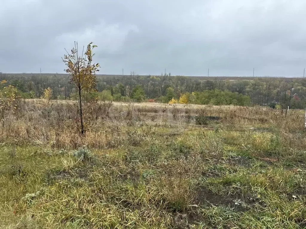 Участок в Белгородская область, Белгород Лимонник СТ, 583 (5.0 сот.) - Фото 1