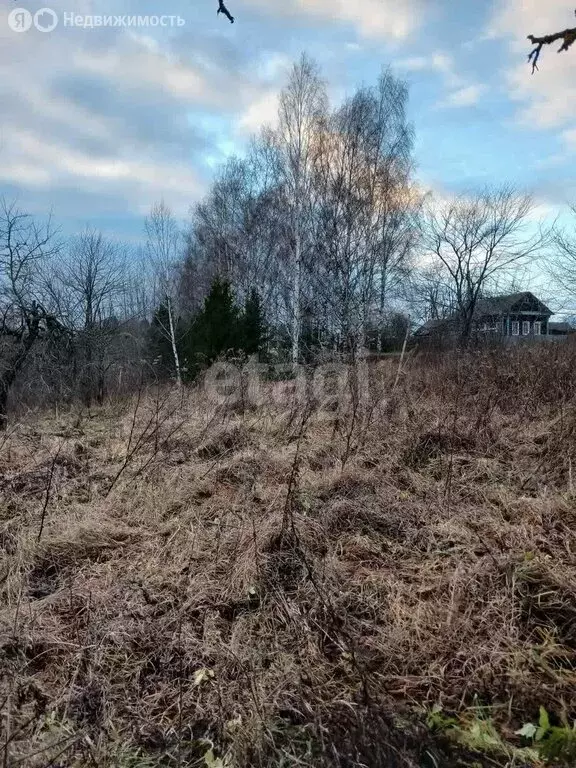 Участок в сельское поселение Бурмакино, деревня Гашки (25 м) - Фото 0