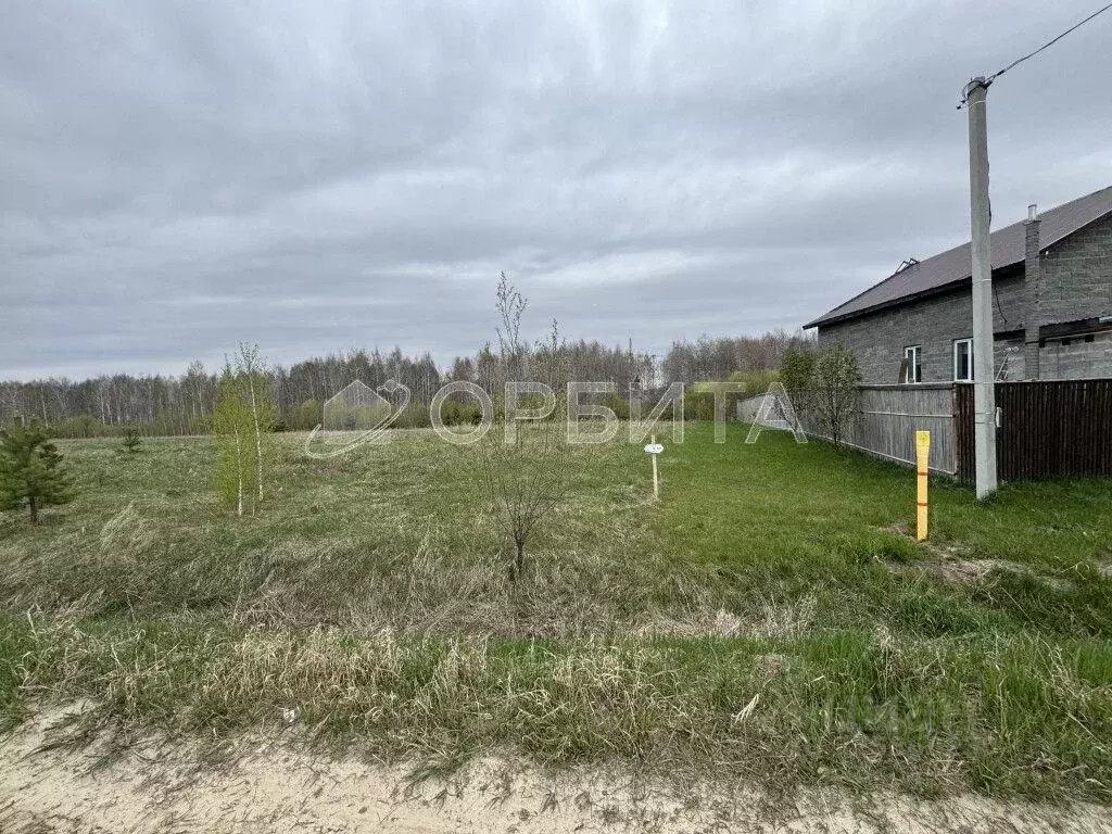 Участок в Тюменская область, Тюменский муниципальный округ, д. Якуши ... - Фото 2