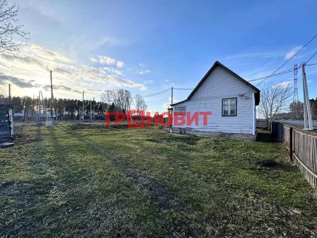 Участок в Новосибирская область, Тогучинский район, с. Усть-Каменка ... - Фото 2