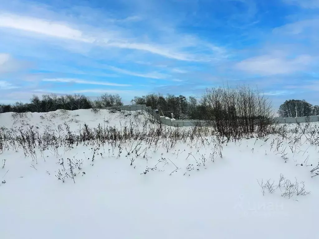 Участок в Московская область, Раменский муниципальный округ, с. ... - Фото 2
