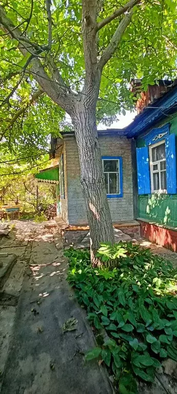 Дом 48 м на участке 3,8 сот. - Фото 1
