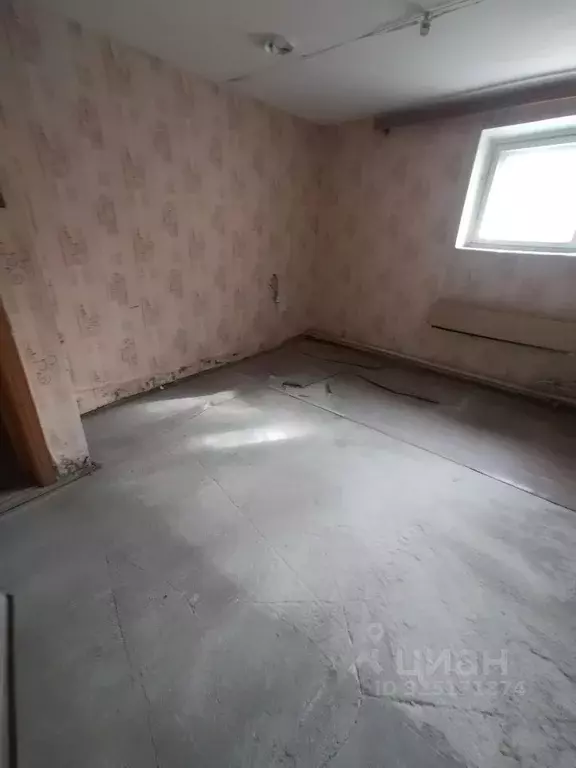 Помещение свободного назначения в Брянская область, Брянск ул. ... - Фото 1