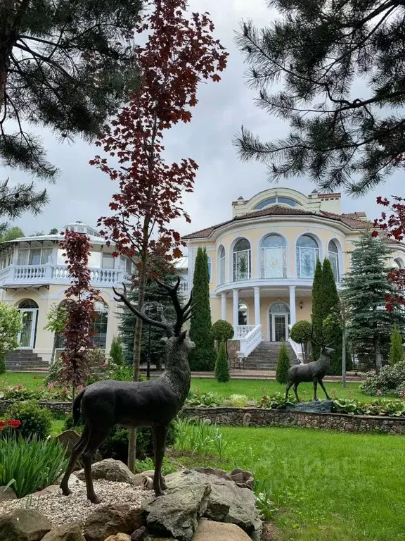 Дом в Московская область, Истра муниципальный округ, д. Борзые  (890 ... - Фото 0