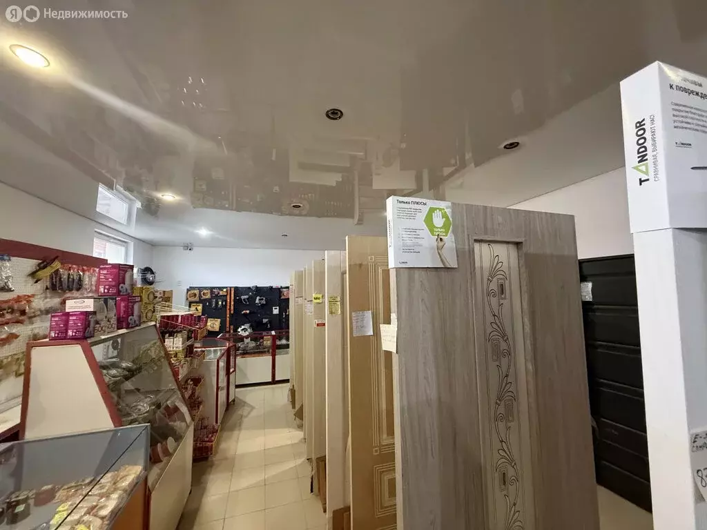 Помещение свободного назначения (280 м) - Фото 2