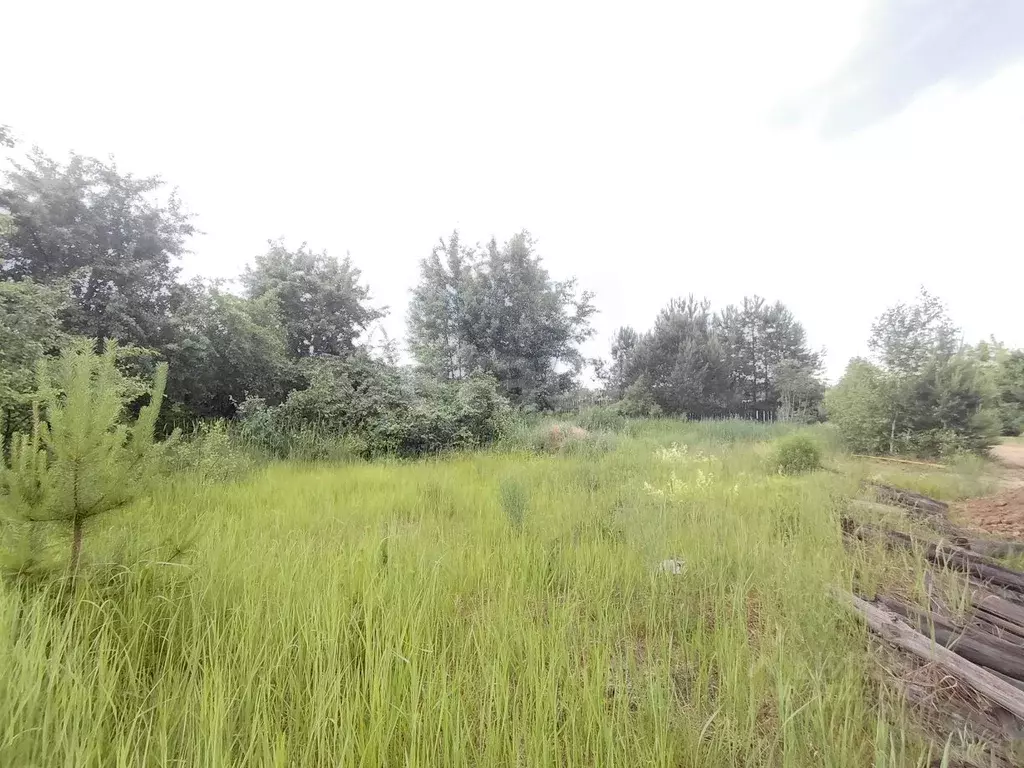 Участок в Нижегородская область, Выкса городской округ, Виля рп ул. ... - Фото 1