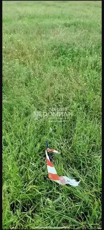 Участок в Ростовская область, Октябрьский район, Бессергеневское ... - Фото 2