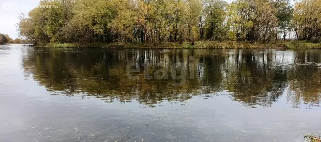 Участок в Камчатский край, село Усть-Большерецк (43.78 м) - Фото 2