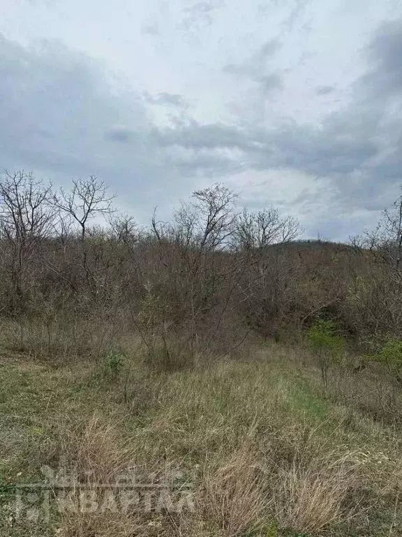 Участок в Краснодарский край, Калининский район, Бойкопонурское с/пос, ... - Фото 1