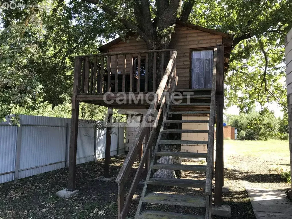 Участок в Липецкая область, Усманский муниципальный округ, село ... - Фото 1