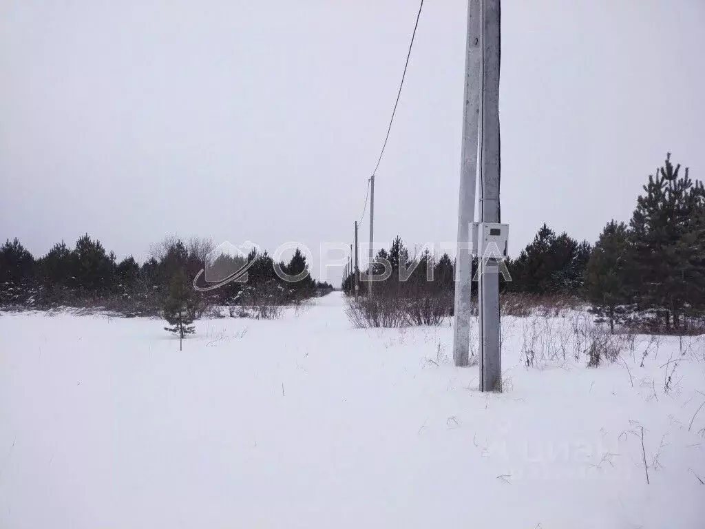 Участок в Свердловская область, Слободо-Туринский район, ... - Фото 2