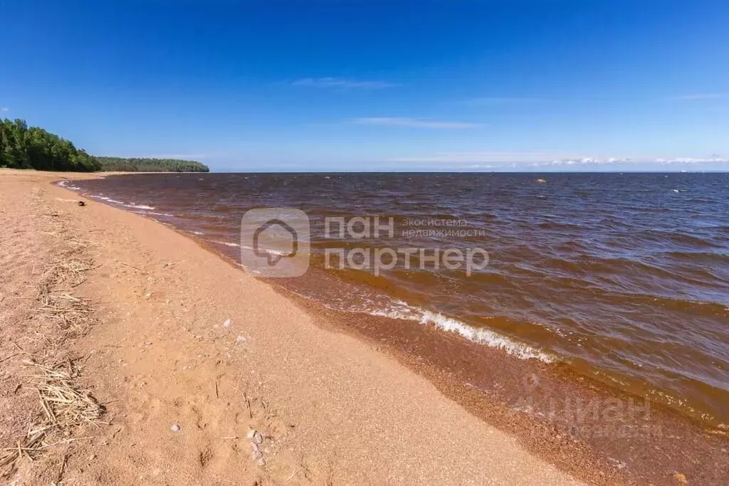 Дом в Ленинградская область, Ломоносовский район, Лебяженское ... - Фото 0