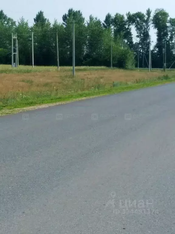 Участок в Татарстан, Лаишевский район, с. Державино  (186.0 сот.) - Фото 1