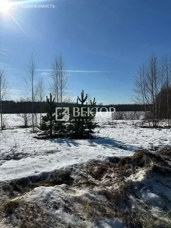 Участок в Костромской район, Бакшеевское сельское поселение, деревня ... - Фото 1